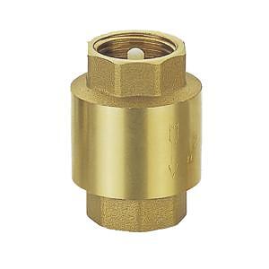 80mm (3") Check Valve - Brass F&F