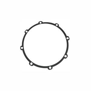 Water Wise B3 Bare Shaft Water Pump - Volute Gasket Only