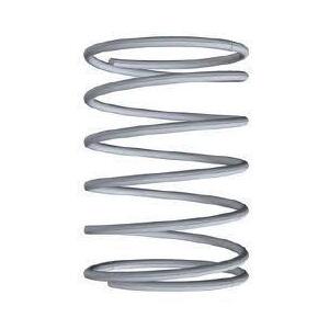 Spray Valve Spring - 500LPM Mega Type